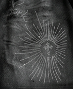 NY Ribcage Starburst Şort
